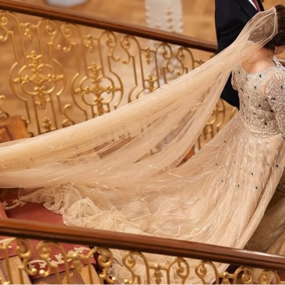 Zubair Murad Style Wedding Dress With Veil